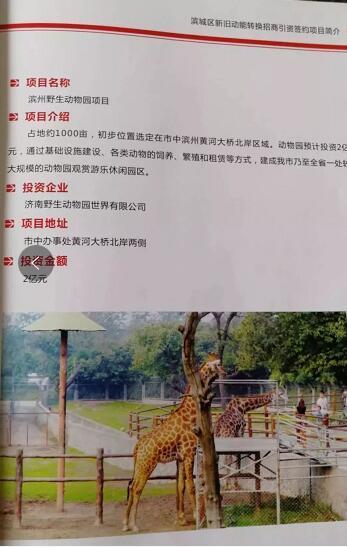 厲害了我的大濱州，15個(gè)招商引資項(xiàng)目集中簽約！